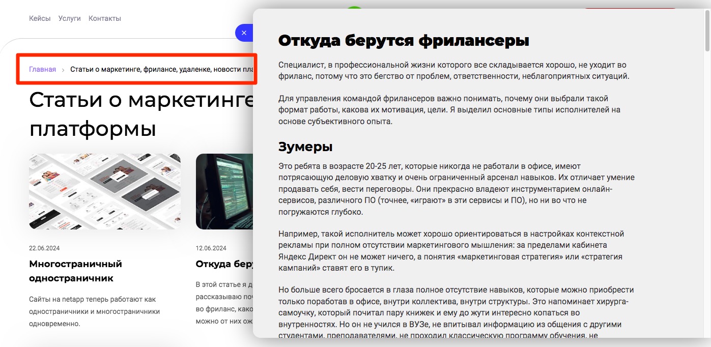 netapp, многостраничный сайт в одностраничном интерфейсе